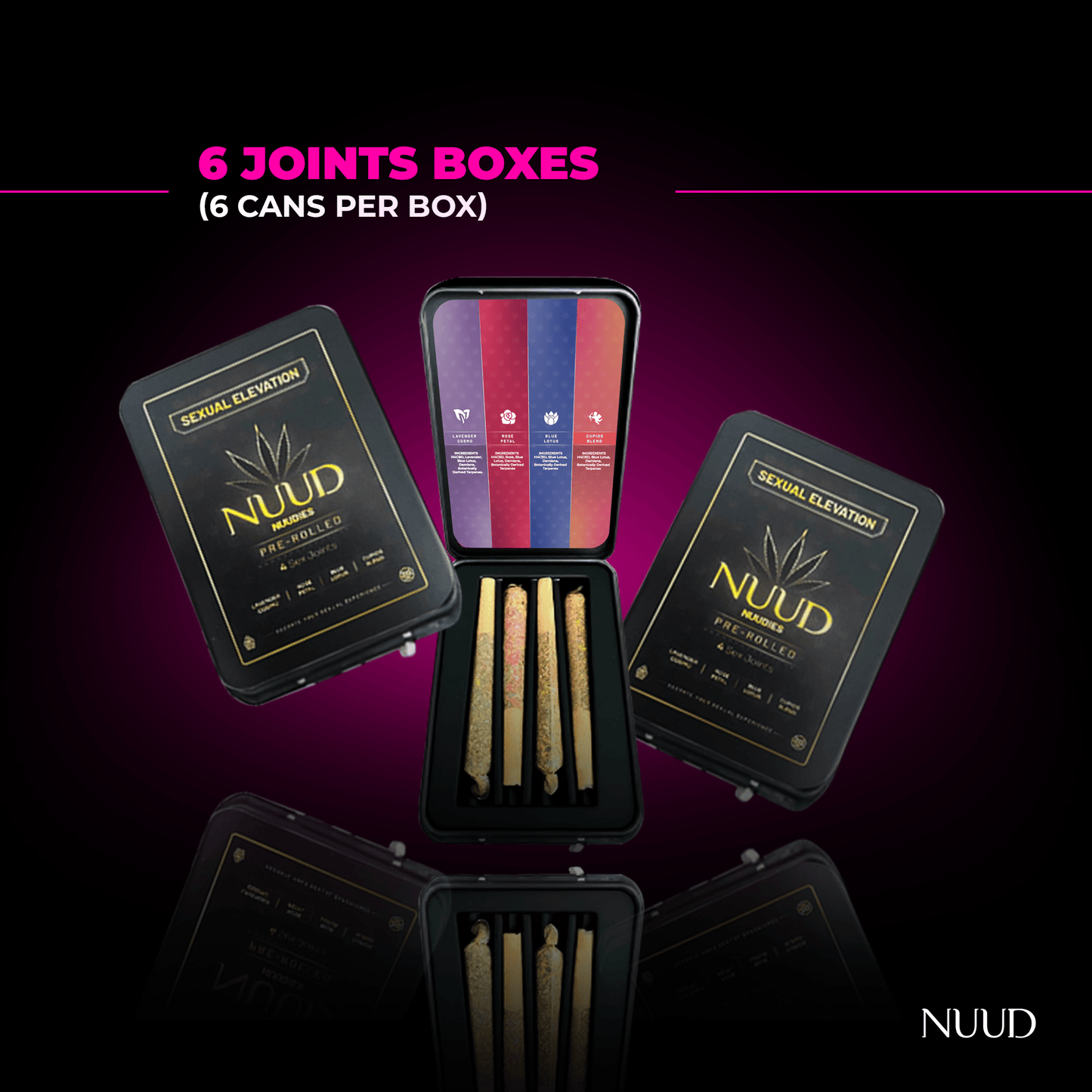 Nuud Basic Starter Pack 6 Joints Travel Cases (6Cans per Cases)