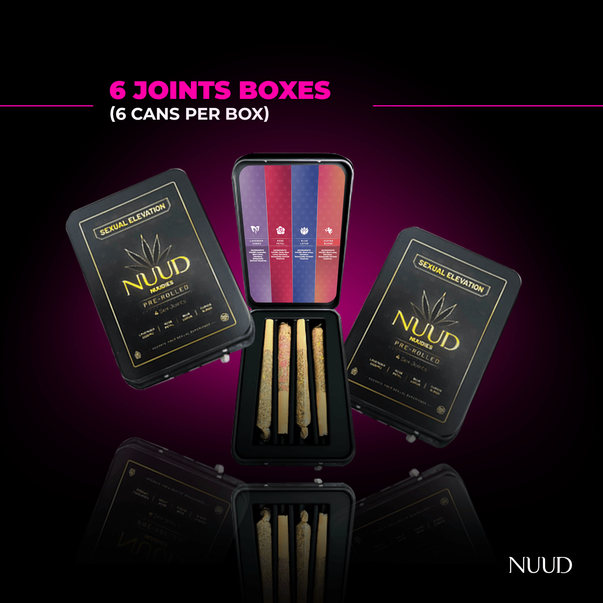 Nuud Basic Starter Pack 6 Joints Travel Cases (6Cans per Cases)