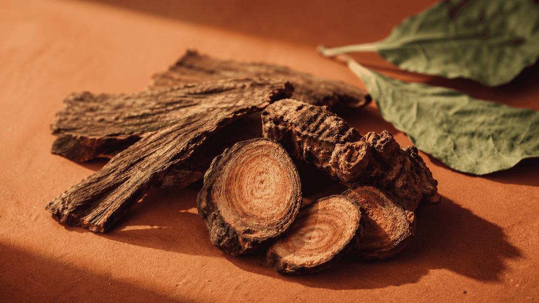 Muira Puama for Women: Libido, Menopause, and What the Research Shows