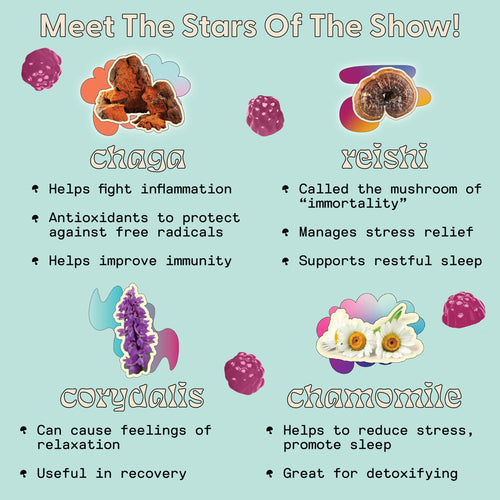 Mushroom Libido Gummies: What They Are, How They Work, and Who They're For