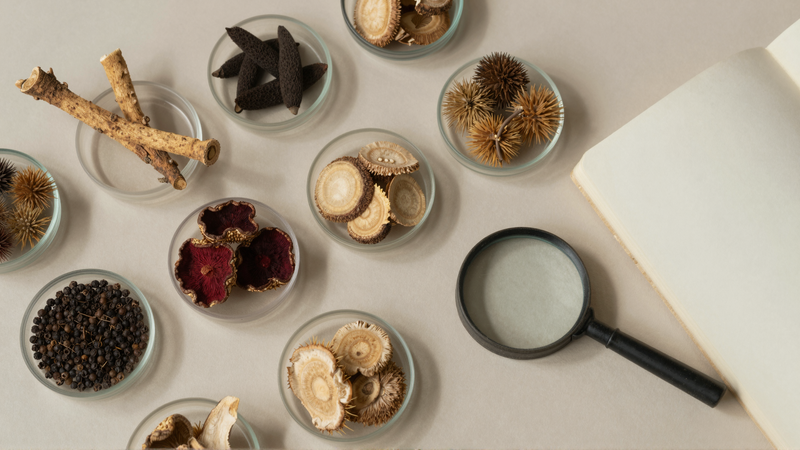 Dried libido supplement botanicals in glass dishes with a magnifying glass and notebook