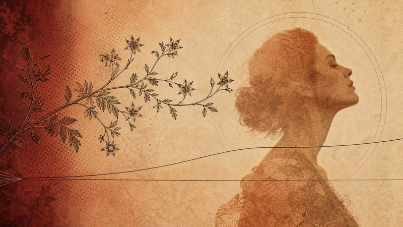 Vintage botanical illustration of a tribulus terrestris vine reaching toward a woman's silhouette with two diverging trend lines, illustrating clinical trials of tribulus for women's libido